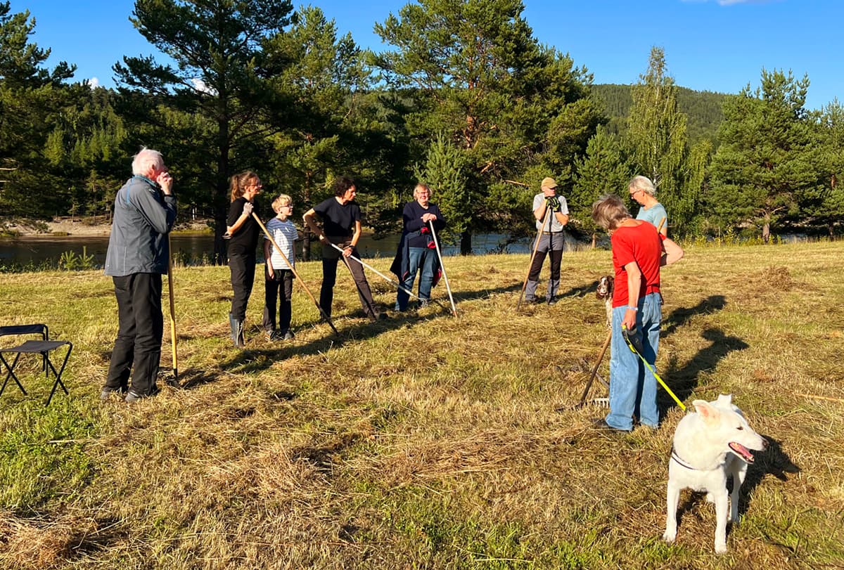 Flera personer som vilar och pratar efter att ha slagit en äng med lie
